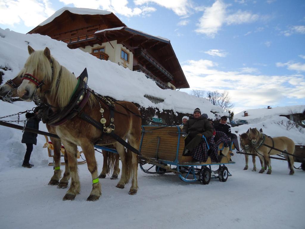 Hotel Sporthof Schladming Buitenkant foto